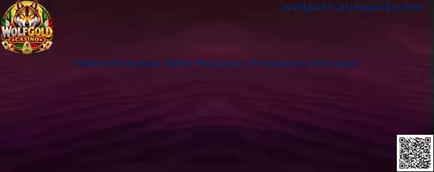 Tabla informativa sobre mecánicas y funciones del juego Wolf Gold