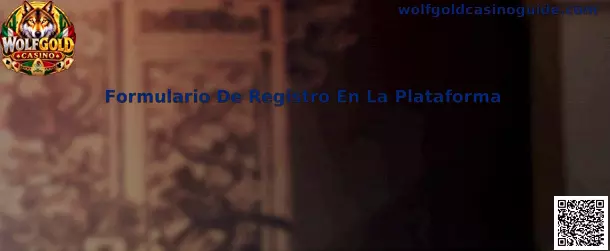 Formulario De Registro En La Plataforma