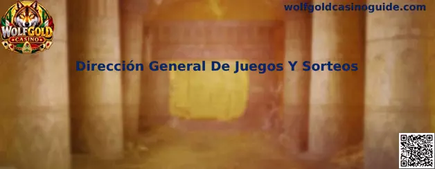 Información sobre Dirección General De Juegos Y Sorteos en México