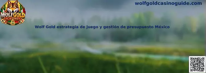Imagen informativa sobre Wolf Gold, estrategia de juego y administración responsable del presupuesto en México