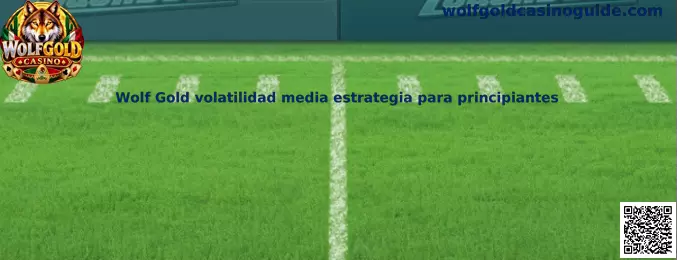 Guía visual sobre Wolf Gold, volatilidad media y estrategia responsable para principiantes