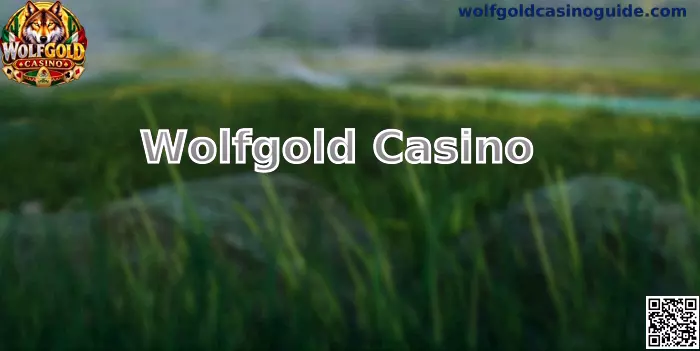Guía informativa de Wolfgold Casino para jugadores en México